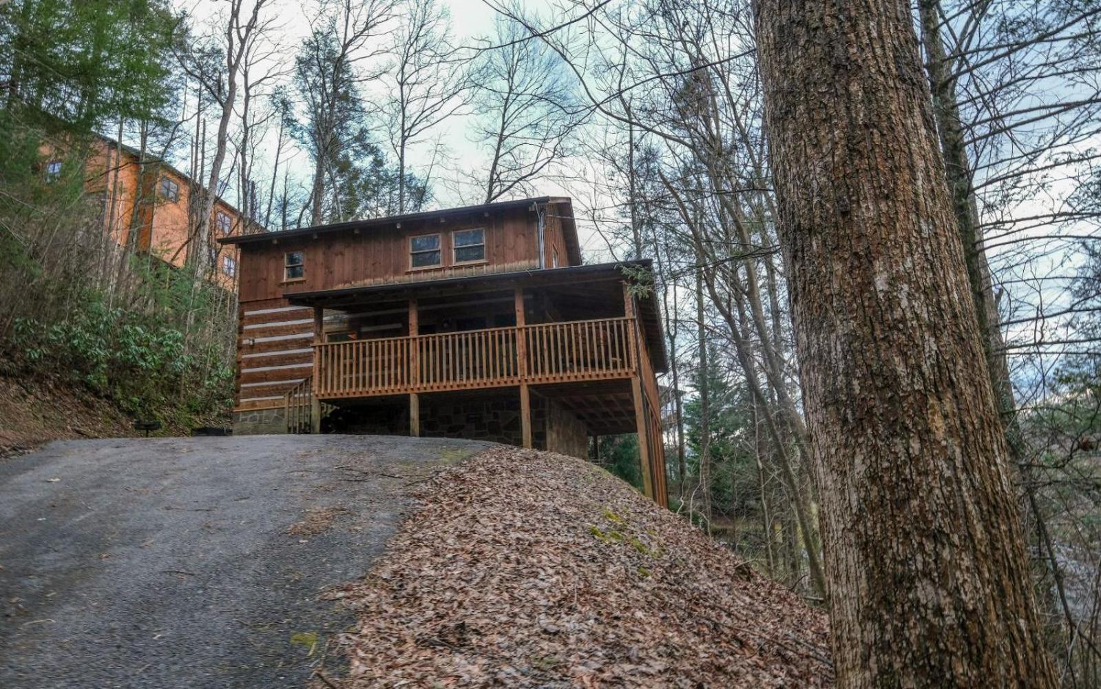 Viva La Vino Villa Gatlinburg Ngoại thất bức ảnh
